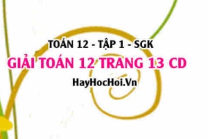 Giải Toán 12 trang 13 tập 1 Cánh Diều